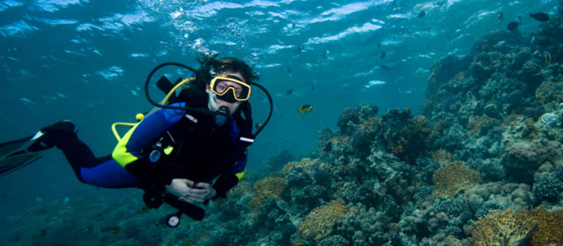 vallarta scuba diving